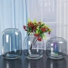Wholesale of ecological hydroponic plant bottles, glass vases, decorative micro-landscapes, small fish tanks, office desks, and living room ornaments Application Scenario
